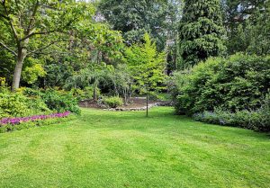 Optimiser l'expérience du jardin à Aubigny-en-Artois
